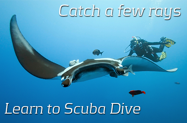 600-x-394-slides-ray